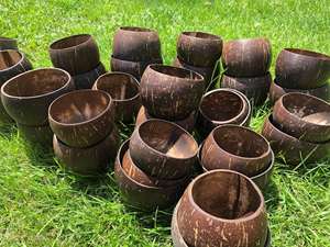 Classic Vietnam Eco-Friendly Coconut Dining Set with Coconut Shell Spoon for Soup and Noodle Business Gift - Product Image 5