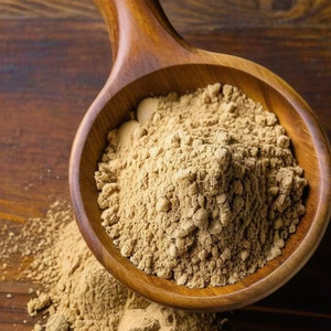 Poudre d'Amla, Extrait Herbal de Qualité Supérieure, Ingrédient Alimentaire de Grade Alimentaire, Approvisionnement en Vrac, Exportation OEM, Contenant Plastique, Bouteille, Fût - Product Image 1