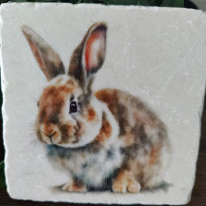 Posavasos de Conejo con Orejas Caídas, Decoración para Mesa de Cocina, Idea de Regalo Única - Product Image 1