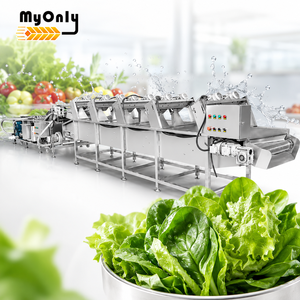 MY Laveuse-sécheuse de fruits et légumes à feuilles, machine de nettoyage et de séchage pour légumes à feuilles et laitues - Product Image 1