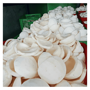 Noix de coco surgelée IQF préparée à partir de morceaux naturels de noyau de noix de coco pour les smoothies, la cuisine et la production de desserts, origine Vietnam - Product Image 3