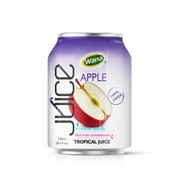 Natuurlijke Zuurzak Gesteriliseerde 11 Brix Drank 330ml Aluminiumblik |   Fruit- en groentesap OEM ODM Private Label Vietnam