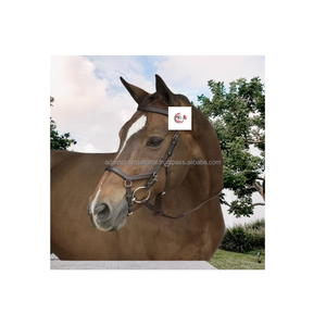 Rambo Micklem-brida de competición para caballos de alta calidad - Product Image 1