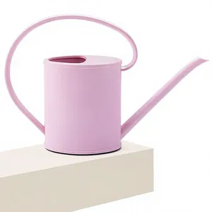 Arrosoir pour plantes d'intérieur, pot d'arrosage de jardin, carafe à eau, arrosoir pour plantes d'intérieur et d'extérieur, fleurs - Product Image 6