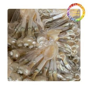 Cucharas de Nácar Natural al por Mayor |   Cucharas de Concha Marina para Comida Gourmet, Caviar y Empaque de Regalos - Product Image 2