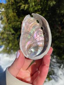 Bol à encens en coquille d'ormeau naturelle polie OEM, brûleur d'encens en coquille de mer, vente en gros d'usine - Product Image 6