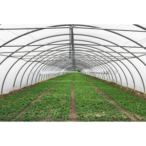 Invernadero Pequeño de Bajo Costo para Agricultura, Solución Premium para la Producción de Cultivos Durante Todo el Año - Product Image 5