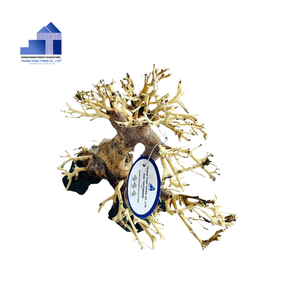 Artículo Más Vendido: Bonsái de Madera Flotante de Lujo para Acuarios, Decoración para Peceras, Madera Decorativa Hecha en Vietnam - Product Image 4