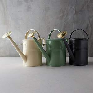 Regadera de Metal Estilo Rústico Vintage para Decoración de Patio y Cuidado Práctico Diario de Plantas - Product Image 2