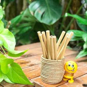 หลอดไม้ไผ่ธรรมชาติปกป้องสุขภาพและการปกป้องสิ่งแวดล้อมจากเวียดนาม - Product Image 1