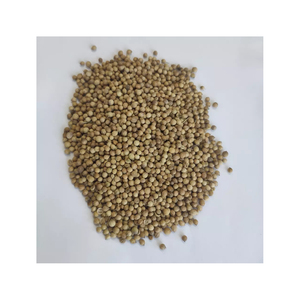 Venta Directa de Fábrica, Semillas de Cilantro Redondas Secas 100% Naturales, de Sabor Intenso y Buena Calidad, con 2 Años de Vida Útil - Product Image 6