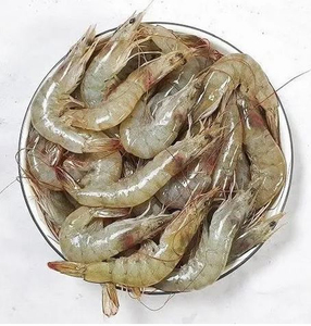 กุ้งแช่แข็งขายส่งยอดนิยม HLSO คุณภาพพรีเมียม จัดส่งจำนวนมาก เกรดอาหาร พร้อมส่งออก - Product Image 4
