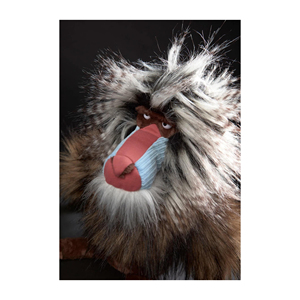Peluche de Babión, Juguete de Peluche Suave y Realista de Mono con Pelo Salvaje y Cara Expresiva - Product Image 4