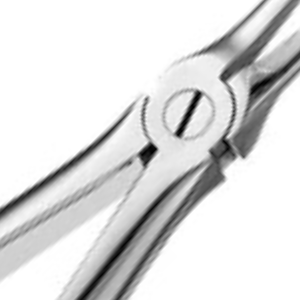 Forceps d'extraction dentaire à dents sécantes pour racines inférieures 46L, en acier inoxydable, instrument chirurgical pour l'élimination des racines, outil réutilisable pour la chirurgie buccale - Product Image 5