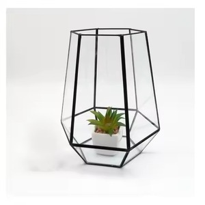 Contemporary <b>Frame</b> Metal Terrarium Glass Planter Decorative Indoor <b>Plant</b> Holder Home Accent - Product Image 1