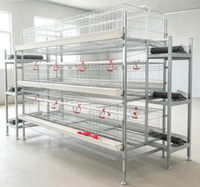 Cage à poulets galvanisée de type H à 4 niveaux, 120/128 poulets, cage à batterie entièrement automatique