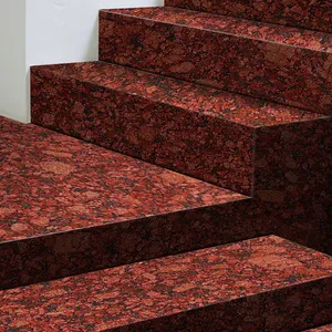 Granito Rojo Rubí de Primera Calidad, Origen Tamil Nadu, Color Rojo Intenso con Puntos Negros, Diseño para Pisos Interiores y Exteriores y Encimeras - Product Image 2