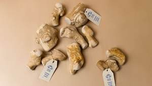 Jouet à mâcher en bois de café SUPERIOR MATERIAL 2026, bâton robuste pour l'exercice de la mastication et le soulagement du stress - Product Image 2