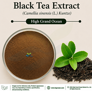 Extrait de thé noir (Camellia sinensis (L.) Kuntze) de qualité alimentaire, fourni directement par l'usine HGO, rapports 4:1, 5:1, 10:1, 20:1, 100:1, 200:1 - Product Image 1
