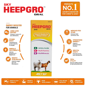 HeepGrow, suplemento multivitamínico, multimineral y de aminoácidos para el crecimiento de ovejas y cabras, fórmula para el apoyo del peso. |   Paquete: 200ml - Product Image 3
