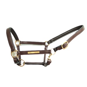 Licol de cheval d'entraînement en plein air en cuir rembourré souple avec boucles en laiton nickelé Style accessoire - Product Image 2