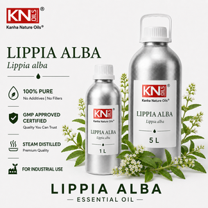 Aceite Esencial de Lippia Alba 100% de Primera Calidad, Fabricante a Granel, Lippia Alba Orgánica Certificada, Grado Cosmético, Exportador Global - Product Image 2