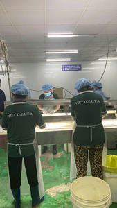 HOT HOT 2026 | Nata de coco premium de Vietnam – Gelatina de coco lista para consumir – Exportación a granel para la industria alimentaria - Product Image 6