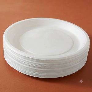 Assiette ronde en bagasse blanche de 12 pouces, de qualité supérieure, biodégradable, écologique, jetable, parfaite pour les fêtes et les restaurants - Product Image 4