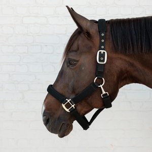 Equestrian Horse Riding PVC <b>Halter</b> Stainless Steel Bits Bridle and <b>Halter</b> for Horse - Product Image 4