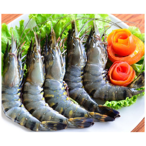 ผู้จัดจำหน่ายขายส่งกุ้งแช่แข็งคุณภาพดีที่สุด ราคาถูก กุ้งลายเสือดำ - Product Image 5