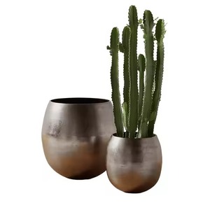 Maceta de Metal Rústica para Interiores, Contenedor Decorativo para Plantas y Flores, Decoración para Balcón, Jardín y Hogar - Product Image 3