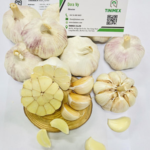 กระเทียมเวียดนามสด Ajo Fresco พรีเมียม กระเทียมขาวธรรมชาติทั้งหัว จากไห่ตง ยี่ห้อ TINIMEX สำหรับขายส่งและส่งออก - Product Image 1