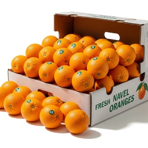 Oranges Navel fraîches soigneusement sélectionnées, fournies en cartons en vrac pour les importateurs de fruits frais, au goût sucré et emballage soigné. - Product Image 1