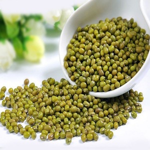Organic Dried 3.8mm Big Size Vigna <b>Beans</b> Mung Dal High Quality Sprouting Green Mung <b>Beans</b> 25kg Bulk Wholesale - Product Image 3
