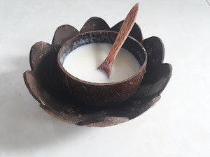 Bol en coquille de noix de coco naturelle/Lucinda - Product Image 5