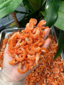 กุ้งแห้งเวียดนาม วัตถุดิบอาหารทะเลพรีเมียม สำหรับปรุงรส ซุป และซอส - Product Image 4