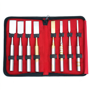 Juego de 10 Osteótomos Económicos de Acero Inoxidable con Estuche de Transporte, Instrumentos Ortopédicos para Cirugía Plástica y Ortopedia - Product Image 4