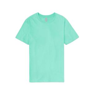 Softstyle Enzyme Washed camiseta para hombre Hanes para hombre Premium auténtica Camiseta cuello redondo Seafoam menta verde camisetas siguiente nivel - Product Image 1