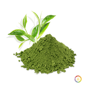 Polvo de Algas de Uva de Mar para Uso en Ingredientes Alimenticios y Piensos - Product Image 3