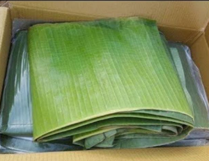 Alta calidad 100% Natural hoja de plátano fresco Vietnam exportación agricultura producto superventas - Product Image 2