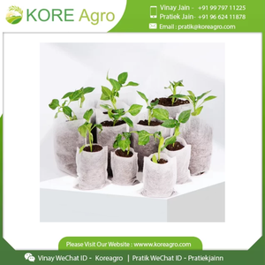 Bolsas de Cultivo de Tela No Tejida, Macetas Transpirables para Plantas de Interior y Exterior, Semillas, Vegetales y Flores - Product Image 6