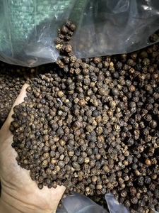 พริกไทยดำเม็ดเต็มคุณภาพสูง กลิ่นหอมเข้มข้น รสชาติเข้มข้น อบแห้งอย่างดี - Product Image 4