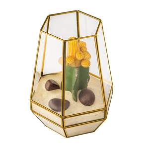 Terrario de Cristal de Borosilicato con Marco de Metal Negro Diamante para Suculentas, Florero Geométrico Moderno para Mesa de Interior - Product Image 6