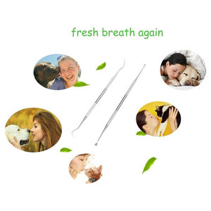 Dog Teeth <b>Cleaning</b> Tools Stainless Steel Double Head Pet Dental <b>Scraper</b> Scaler Professional Canine Tartar Remover Plaque - Product Image 4