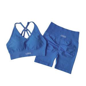 Conjunto Deportivo para Mujer, Diseño Moderno, para Gimnasio y Yoga, Color Sólido Personalizado, Transpirable, Ligero, Sin Costuras, de Secado Rápido - Product Image 1
