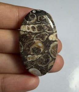 หินอาเกต TURRITELLA แบบคาโบชอง ขายส่งเป็นล็อตตามน้ำหนัก มีรูปทรงและขนาดต่างๆ ใช้สำหรับทำเครื่องประดับ - Product Image 4