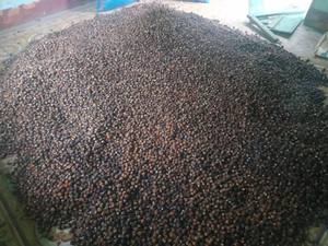 Bulk Natural Dried Soap Nuts Soapberry for Laundry <b>Detergent</b> Household Cleaning Export Quality Vietnam Supplier - Product Image 6