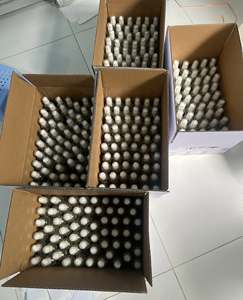 Aceite de Coco Crudo Orgánico de Primera Calidad del Delta del Mekong en Botellas de Vidrio (1000L) para Uso Industrial y Comercial - Product Image 5