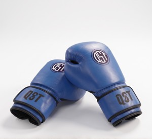 Gants de boxe personnalisés, gants d'entraînement professionnels, équipement de fitness pour la salle de sport, équipement de frappe, performance sportive, gants d'entraînement personnalisés - Product Image 1