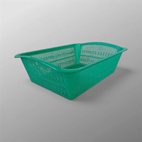 Rechthoekige kunststofbak 100% virgin PP 34x22x7 cm Vietnam mand/kist voor landbouw fruit groente PP kunststof